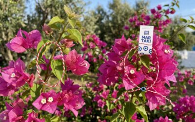 Martaki – das Armband aus Griechenland zum Frühling